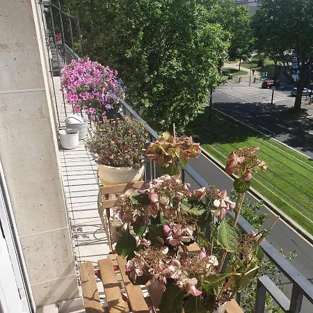 Magnifique Parisien * Paris