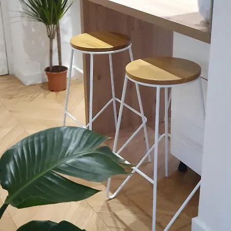 Magnifique Parisien Apartment Paris
