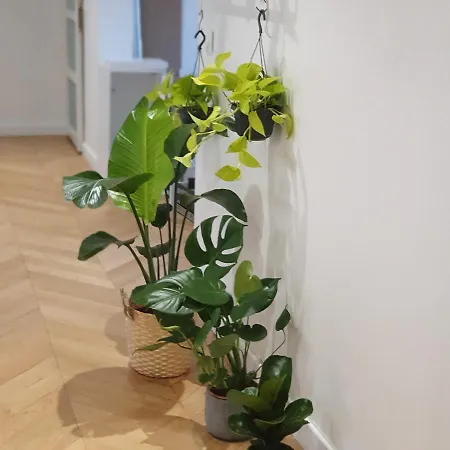 Magnifique Parisien Apartment *